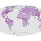 Image for article titled The first accurate map of how green the Earth really is